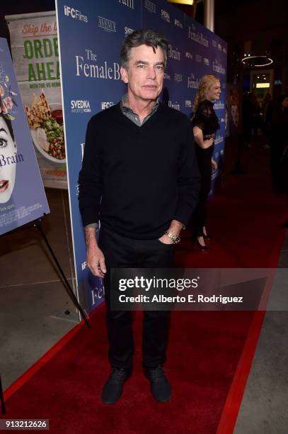 Peter Gallagher attends the premiere of IFC Films' 'The Female Brain' at ArcLight Hollywood on February 1, 2018 in Hollywood, California.