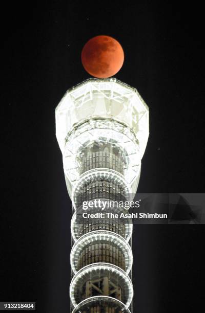 The super blue blood moon rises above the Tokyo SkyTree on January 31, 2018 in Tokyo, Japan.