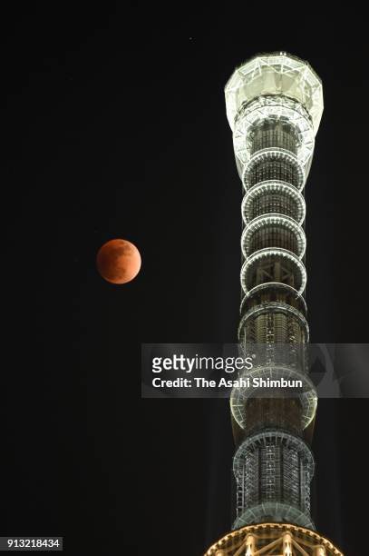The super blue blood moon rises above the Tokyo SkyTree on January 31, 2018 in Tokyo, Japan.