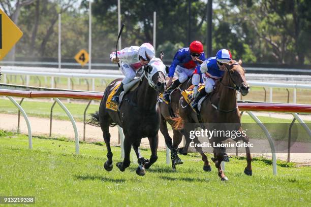 Plucky Rita ridden by Michael Poy wins the Horsepower & Local Cups Day Feb 18 F&M BM58 Handicap at Moe Racecourse on February 02, 2018 in Moe,...