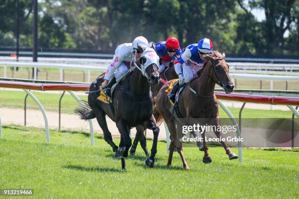 Plucky Rita ridden by Michael Poy wins the Horsepower & Local Cups Day Feb 18 F&M BM58 Handicap at Moe Racecourse on February 02, 2018 in Moe,...