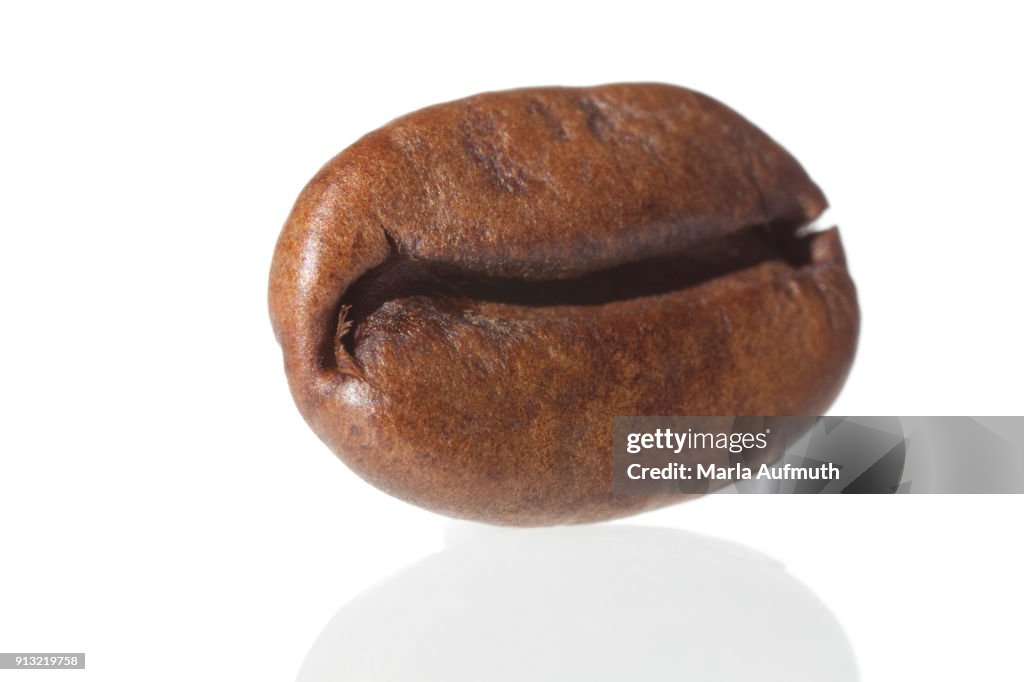 A brown roasted coffee bean close up