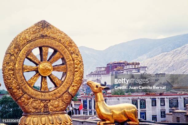 golden dharma wheel and deer sculptures at the jokhang temple in lhasa, tibet, with the potala palace in the back - dharma wheel stockfoto's en -beelden