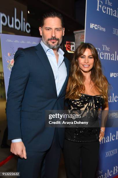 Joe Manganiello and Sofia Vergara attend attend the premiere of IFC Films' 'The Female Brain' at ArcLight Hollywood on February 1, 2018 in Los...