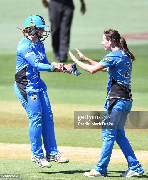 Tegan McPharlin of the Adelaide Strikers catches Erin Burns of the Sydney Sixers off Megan Schutt of the Adelaide Strikers bowling during the Women's...