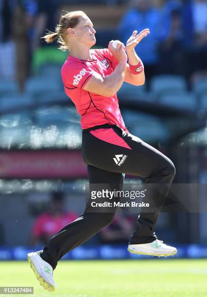 Sarah Aley of the Sydney Sixers during the Women's Big Bash League match between the Adelaide Strikers and the Sydney Sixers at Adelaide Oval on...