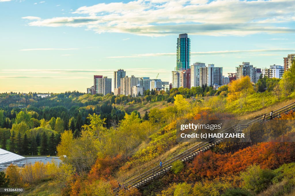 Autumn Landscape in Edmonton river valley | Alberta | Canada
