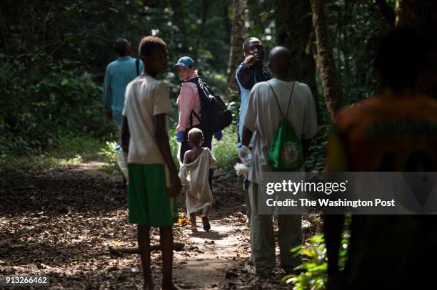 Darius Bondo an Ebola patient, is led out of the village of Quewein by aid workers on Thursday, December 11, 2014. Bondo hiked through a rain forest...