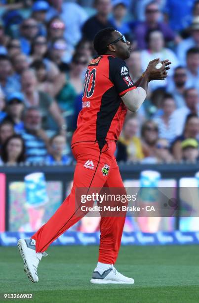 Kieron Pollard of the Melbourne Renegades catches Jono Dean of the Adelaide Strikers during the Big Bash League match between the Adelaide Strikers...