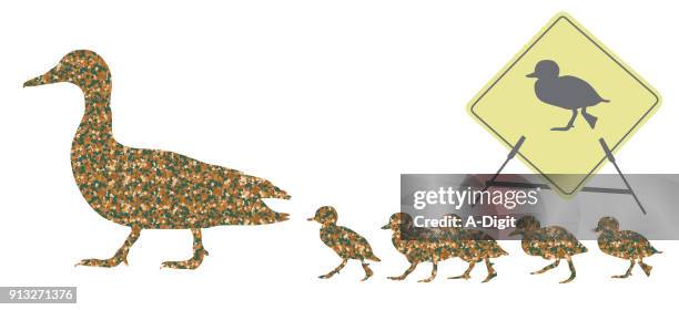 duck crossing camouflage - animals with webbed feet stock illustrations