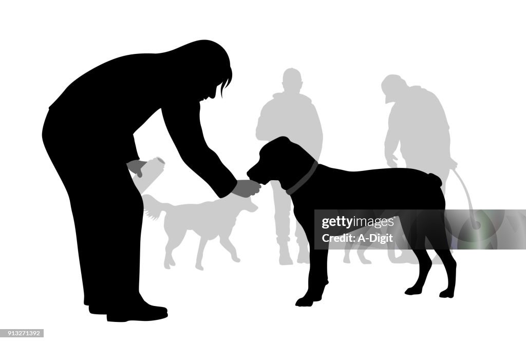 Dog Park Sip Of Water