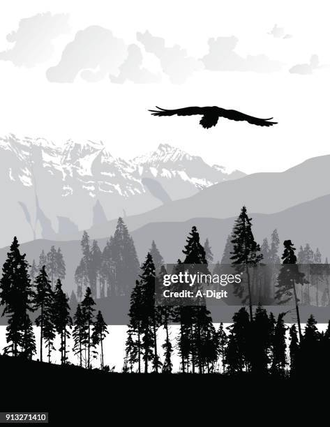 untouched wilderness - black and white landscape stock illustrations