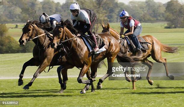 horse race (pintura digital - jockey fotografías e imágenes de stock