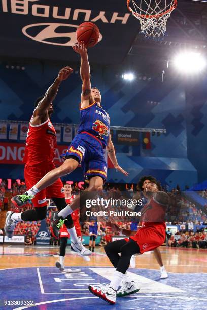 Nathan Sobey of the 36ers lays up during the round 17 NBL match between the Perth Wildcats and the Adelaide 36ers at Perth Arena on February 2, 2018...