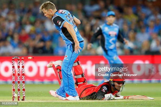 Tom Cooper of the Melbourne Renegades dives to beat a run out attempt during the Big Bash League match between the Adelaide Strikers and the...