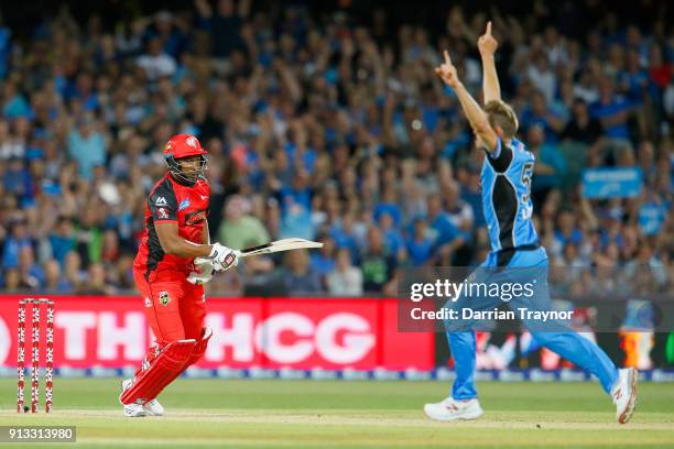 Ben Laughlin of the Adelaide Strikers celebrates the win as a dejected Kieron Pollard failed to score off the last ball during the Big Bash League...