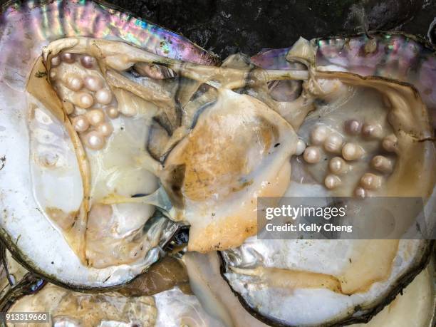 pearls in clam shells - pearl stock pictures, royalty-free photos & images