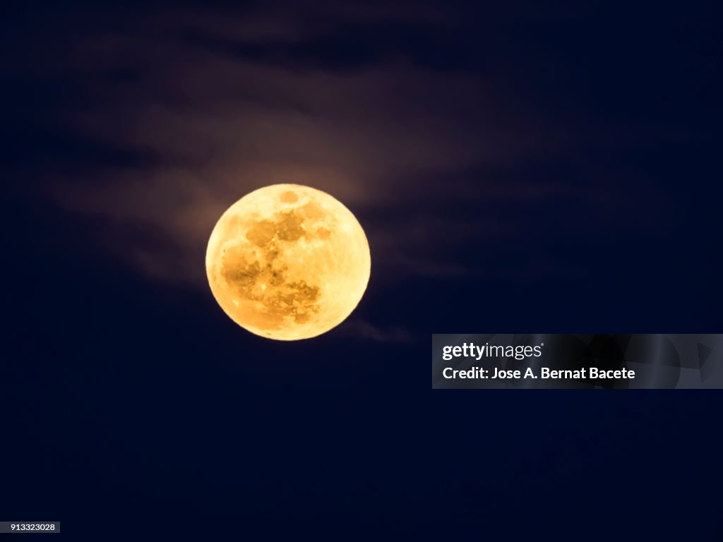 Full frame of the Supermoon of yellow color on a black sky with some high clouds. Valencia, Spain