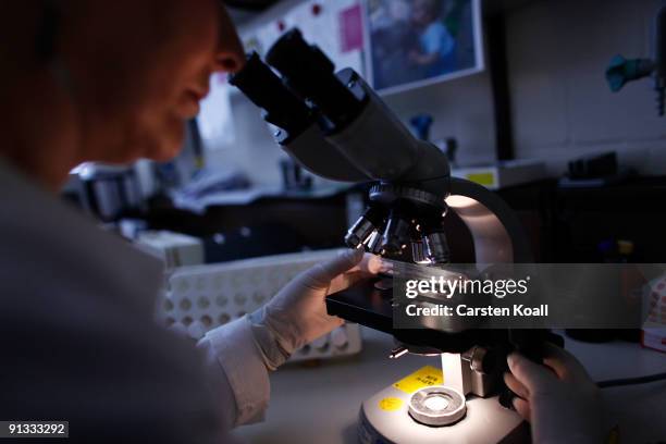 Medico-technical assistant examined virus-infected cells under a microscope at Robert Koch Institute on October 2, 2009 in Berlin, Germany. The...