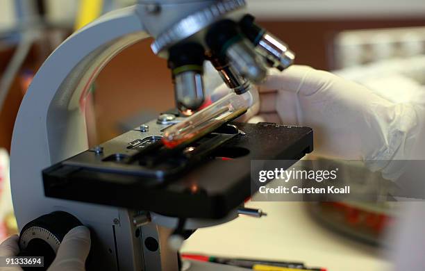 Medico-technical assistant examined virus-infected cells under a microscope at Robert Koch Institute on October 2, 2009 in Berlin, Germany. The...