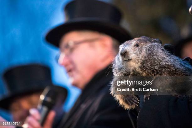 Punxsutawney Phil is held by the handler as the prediction for six more weeks of winter is read during Groundhog day ceremonies on February 2, 2018...