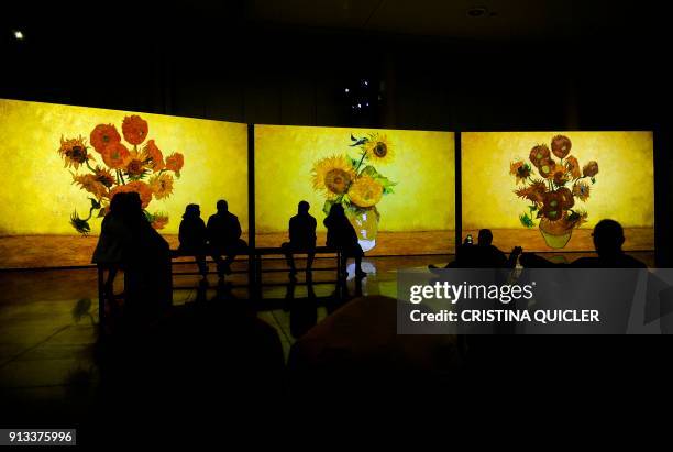 People visit the exhibition "Van Gogh Alive - The Experience", life and work of Vincent Van Gogh from 1880 until 1890 on February 02, 2018 in...