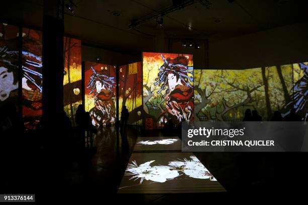 People visit the exhibition "Van Gogh Alive - The Experience", life and work of Vincent Van Gogh from 1880 until 1890 on February 02, 2018 in...