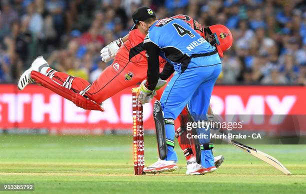 Harry Nielsen of the Adelaide Strikers takes the bails as Kieron Pollard of the Melbourne Renegades makes his crease during the Big Bash League match...