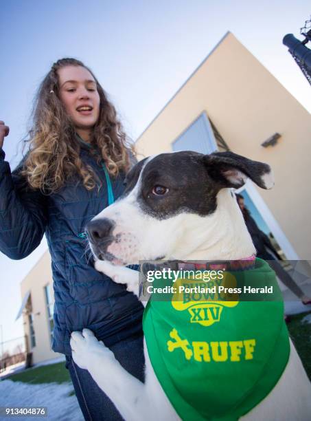 Juniper, a 7-month-old American Staffordshire terrier/American bulldog from Animal Refuge League, will be competing in Puppy Bowl XIV on Sunday....