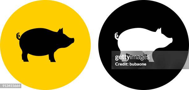 pig. - pigs tail stock illustrations
