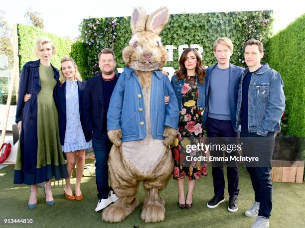 Elizabeth Rabbil 3,384 Peter Rabbit Images Stock Photos, High-Res Pictures, and Images ...
