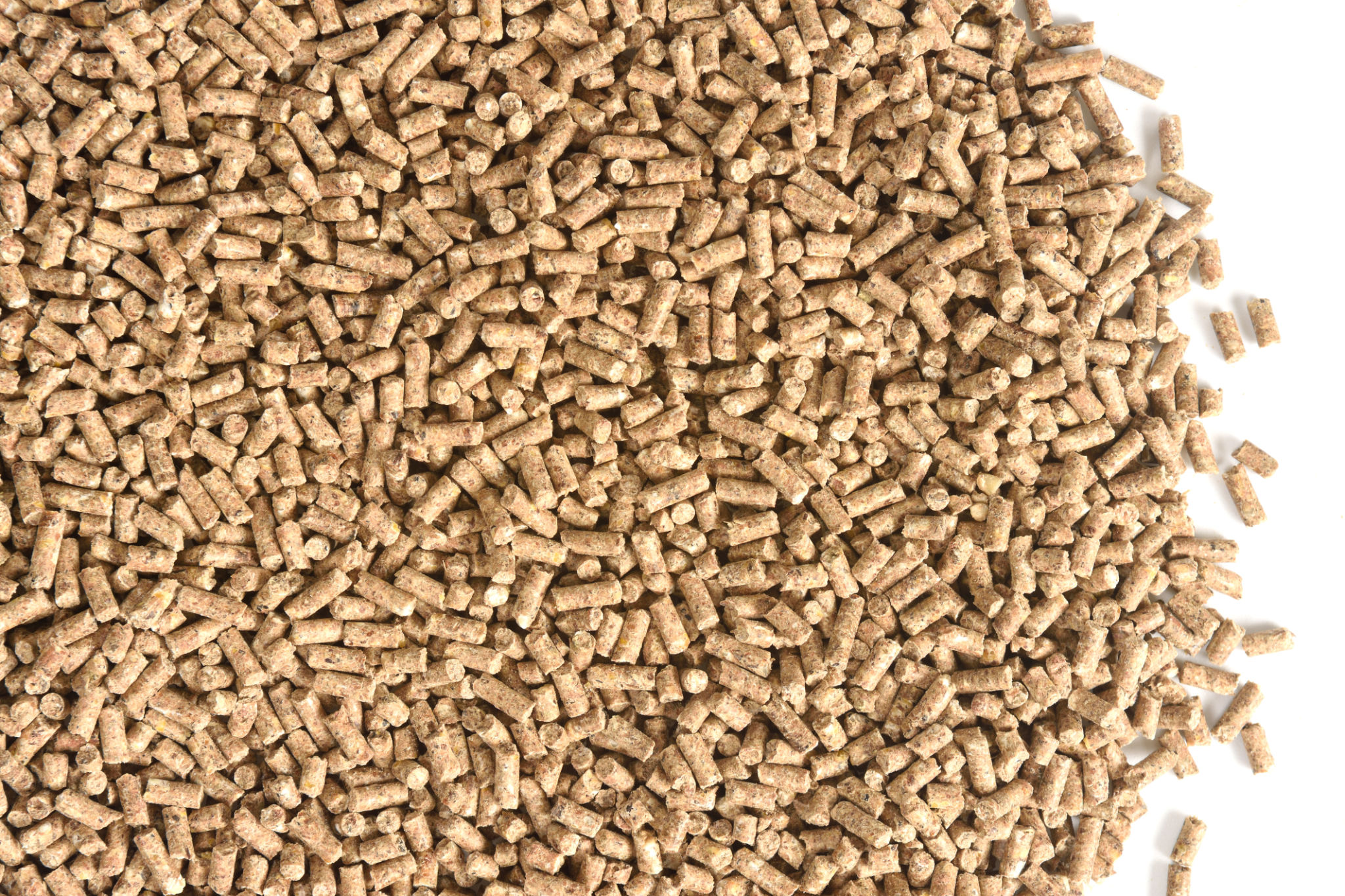 equine product