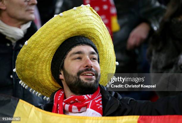 Fan of Duesseldorf celebrate after the Second Bundesliga match between Fortuna Duesseldorf and SV Sandhausen at Esprit-Arena on February 2, 2018 in...