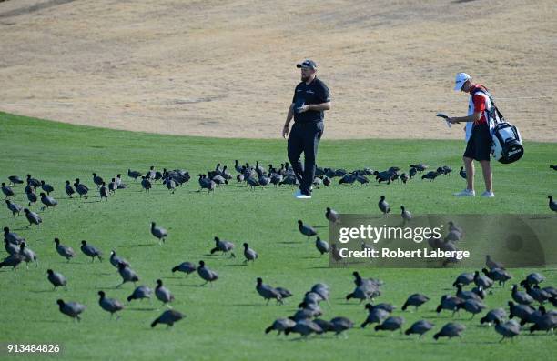 Shane Lowry walks through a flock of birds during the second round of the Waste Management Phoenix Open at TPC Scottsdale on February 2, 2018 in...