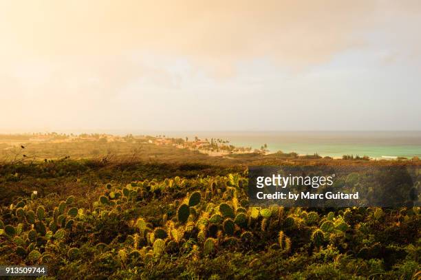 a beautiful view from the california lighthouse, noord, aruba - noord amerika stock-fotos und bilder
