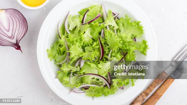 fresh green leaf lettuce salad - cebolla fotografías e imágenes de stock