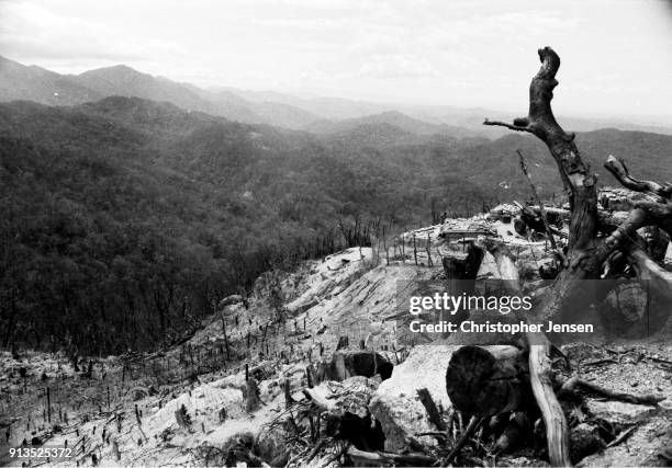 Fsb Ripcord Ripcord Photos and Premium High Res Pictures - Getty Images