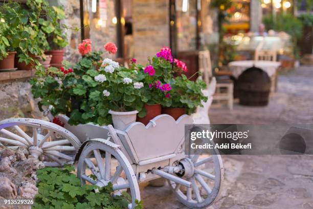 the old carriage converted into a flowerbed of geranium - peppermint geranium stock pictures, royalty-free photos & images