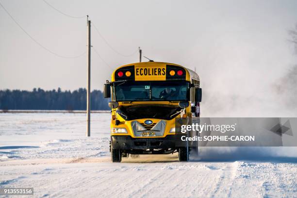 school bus in a row in quebec - quebec icy trail stock pictures, royalty-free photos & images