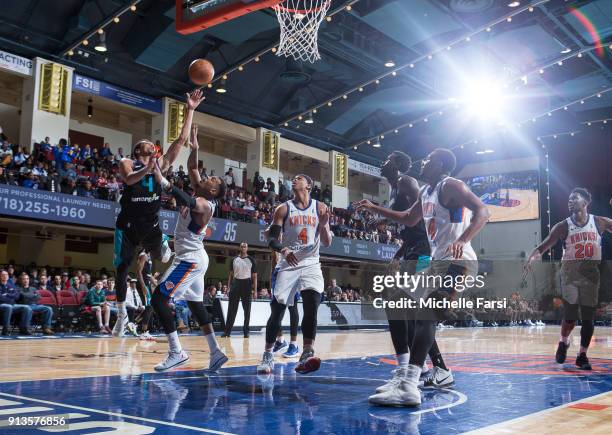 Marcus Paige of the Greensboro Swarm shoots the ball against the Westchester Knicks on February 2, 2018 at Westcester County Center in White Plains,...