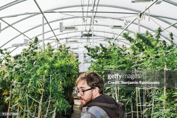 Tucker Eldridge poses for a portrait inside of the ature's Herb greenhouse in Garden City, Colorado on October 14, 2014. In late November of 2000 527...