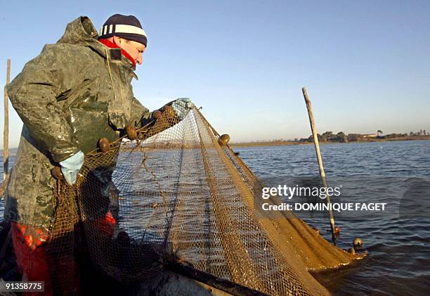 PaysBas-pêche-animaux-environnement Marc Benezech, an eel-fisher holds his net on March 3 off Villeuneuve les Maguelone, south of France. Traditional...