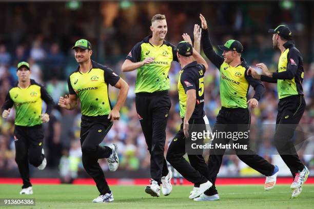 Billy Stanlake of Australia celebrates with team mates after taking the wicket of Tom Bruce of New Zealand during game one of the International...