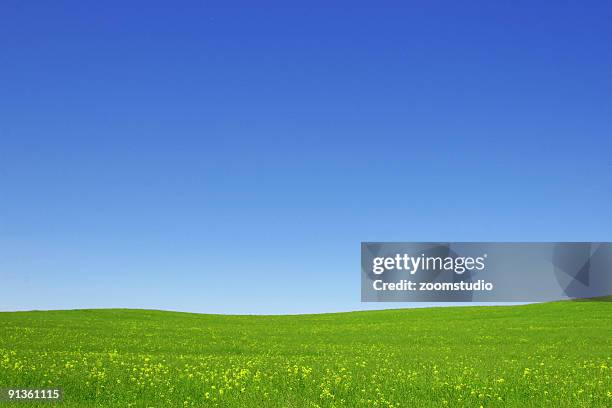 open green fields and blue sky - open sky stockfoto's en -beelden