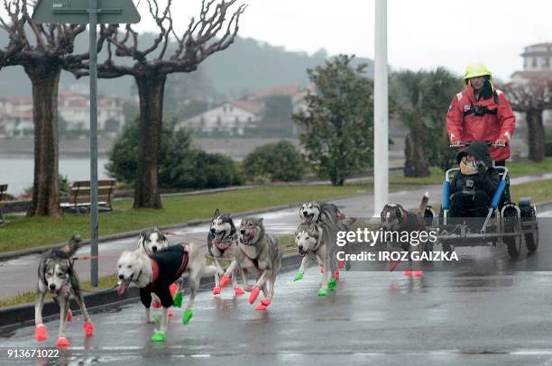 Animal rFrench musher Romain Da Fonseca and his dogs leave the city of Hendaye on February 3, 2018 in an attempt to cross the Pyrenees mountains and...