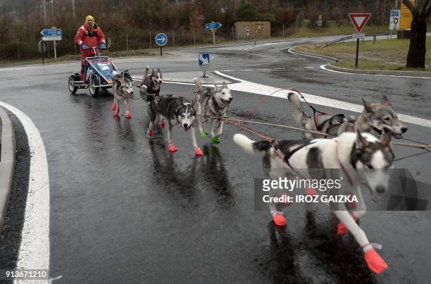 French musher Romain Da Fonseca and his dogs leave the city of Hendaye on February 3, 2018 in an attempt to cross the Pyrenees mountains and reach...