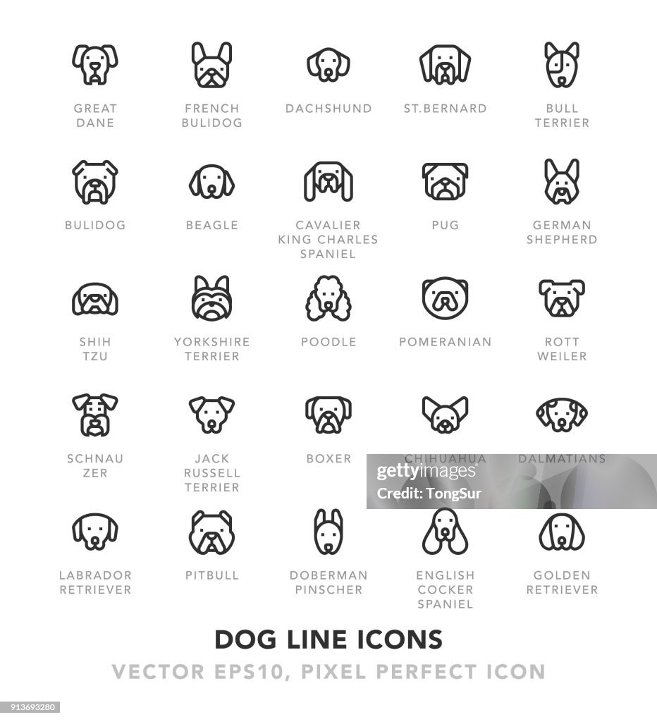 Dog Line Icons