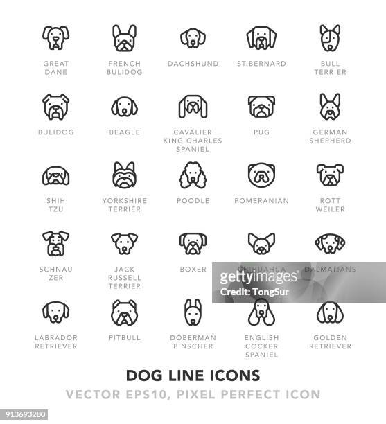 dog line icons - purebred dog stock illustrations