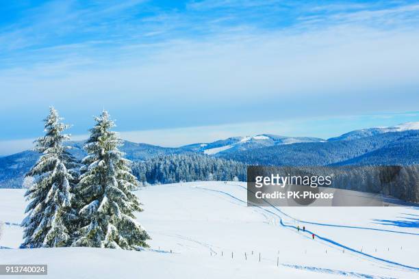 paesaggio invernale a schauinsland nella foresta nera, vicino a feldberg, germania - schwarzwald foto e immagini stock