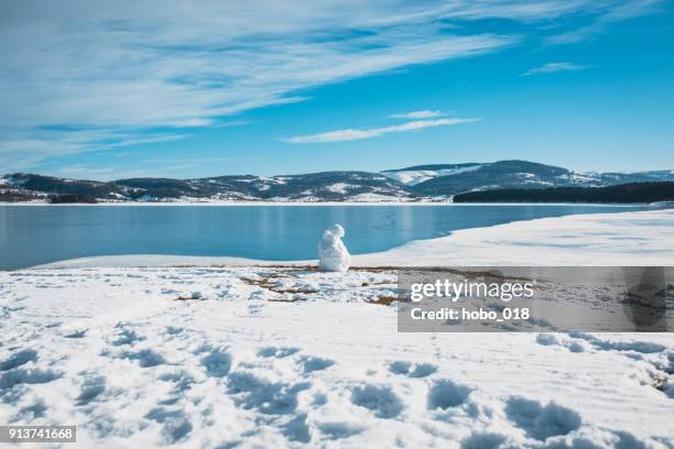 zugefrorenen see unter blauem himmel im winter - melted snowman stock-fotos und bilder